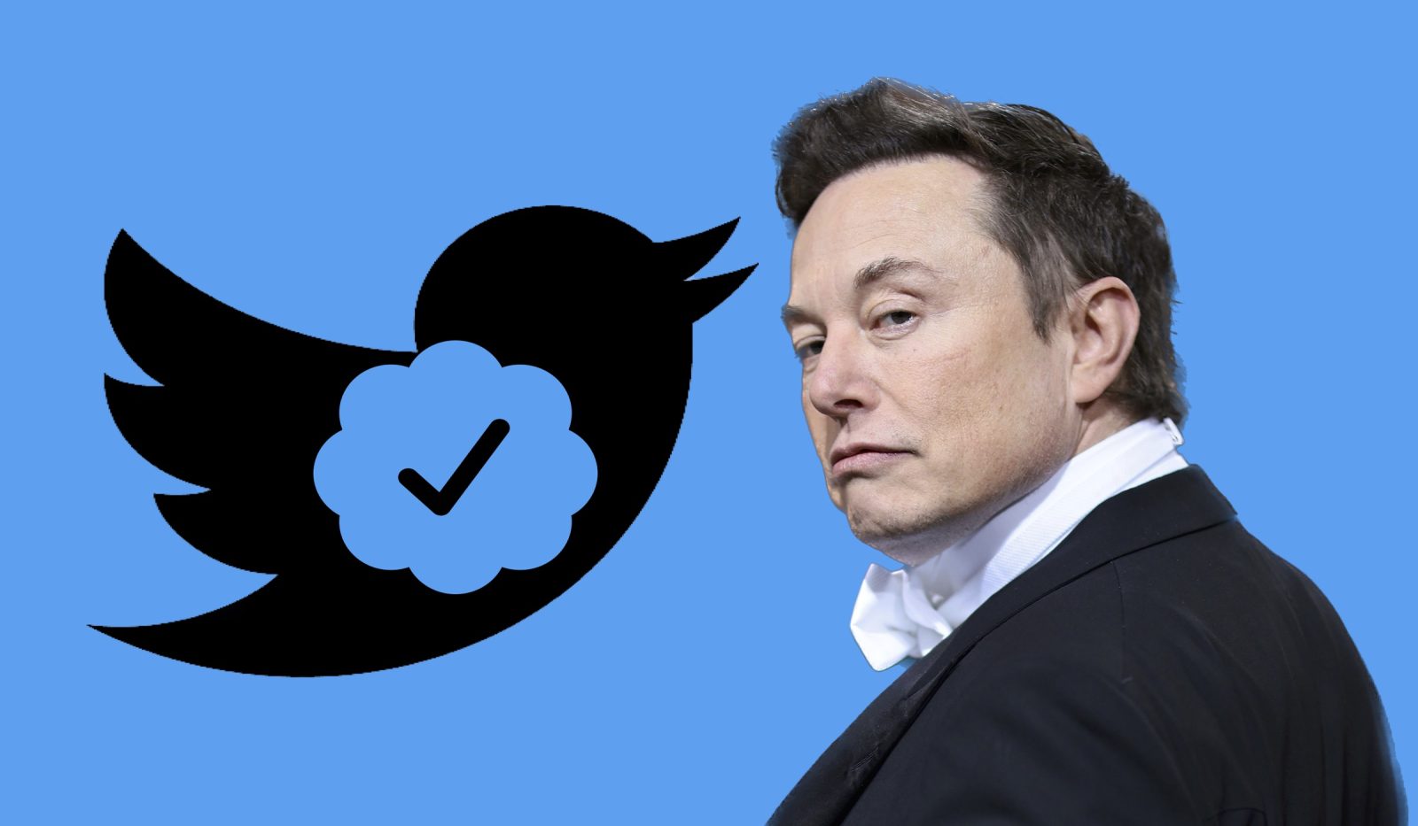 Get ready to pay $20 for the blue tick on Twitter